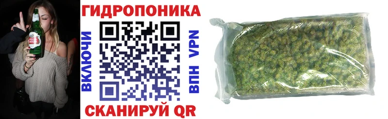 Бошки Шишки MAZAR  купить наркотик  Новозыбков 